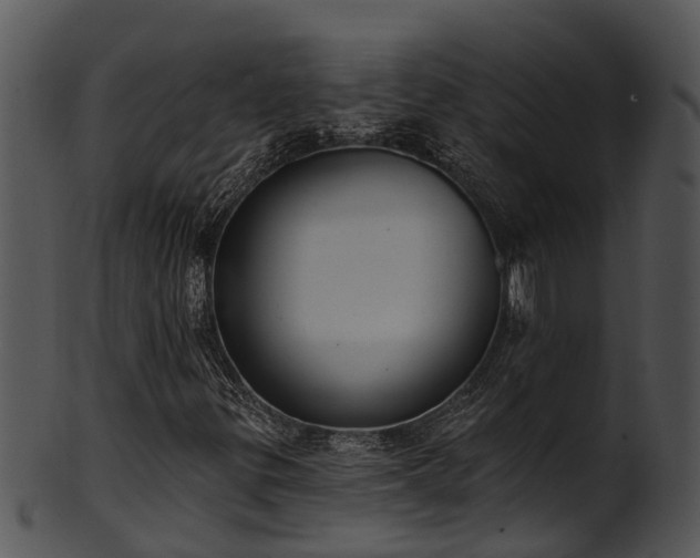 X0000101421299200807141144