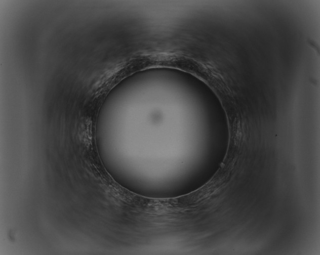 X0000101421301200807141144