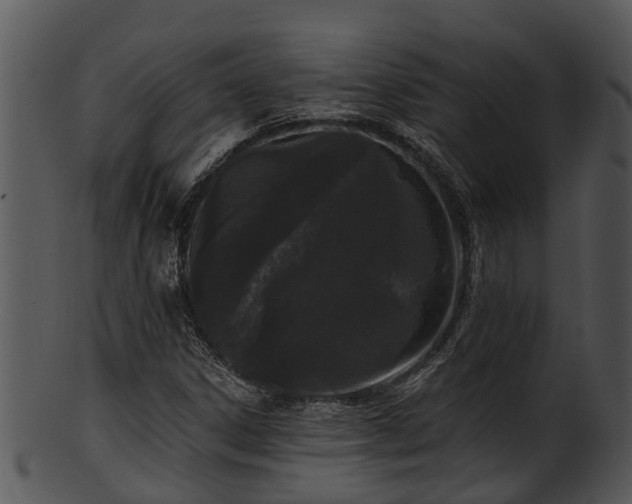 X0000101421306200807141145