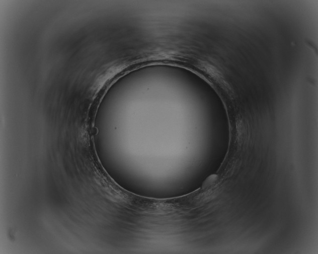 X0000101421308200807141145