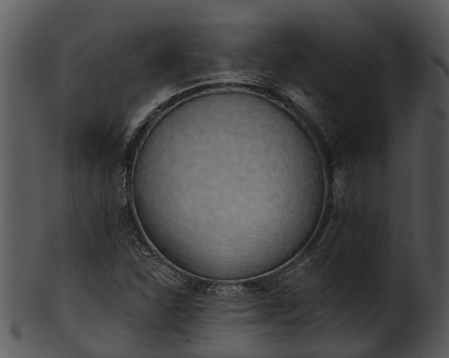 X0000101421310200807141145