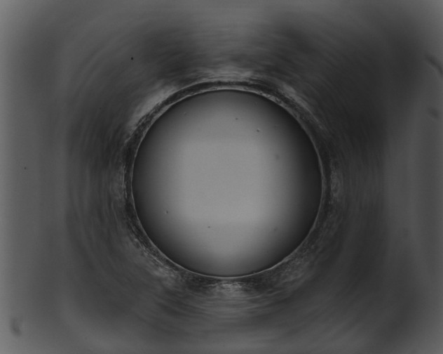 X0000101421315200807141145