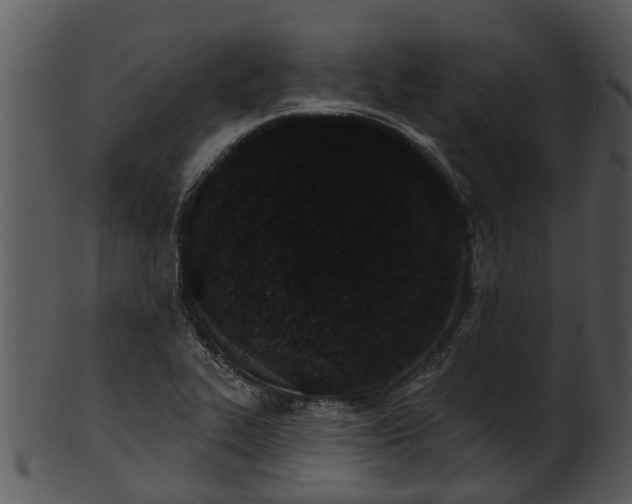X0000101421319200807141145