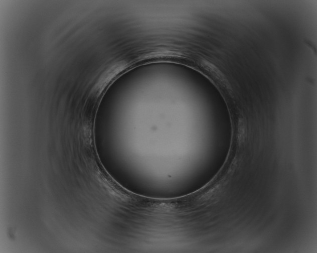 X0000101421321200807141145