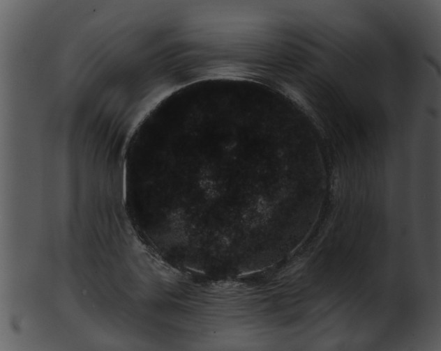 X0000101421323200807141145