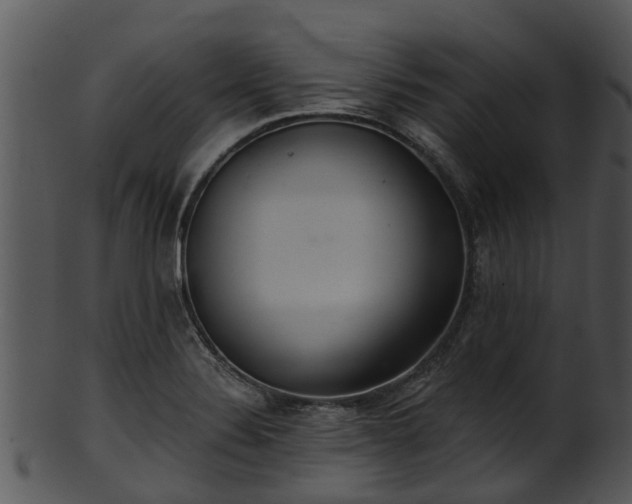 X0000101421324200807141145