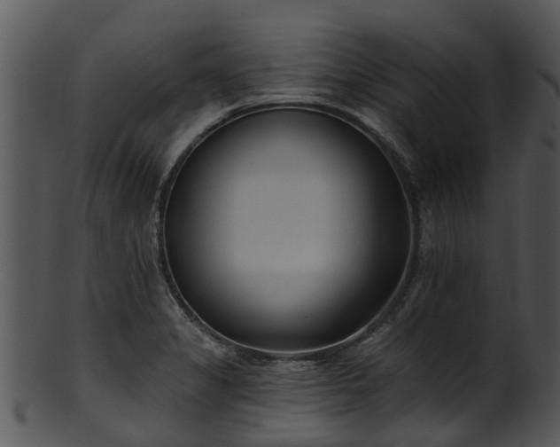 X0000101421325200807141145