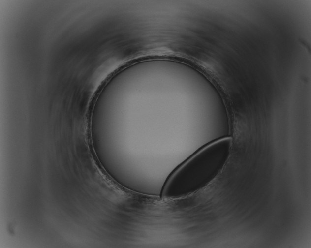 X0000101421326200807141145