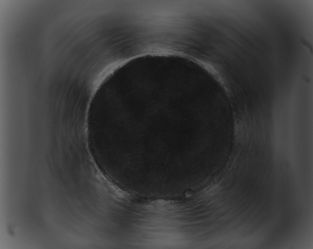 X0000101421327200807141145
