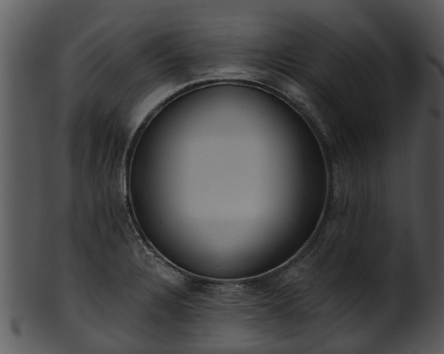X0000101421328200807141145
