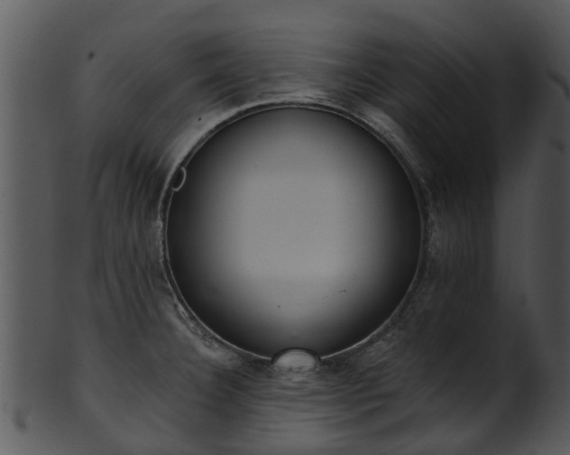 X0000101421332200807141145
