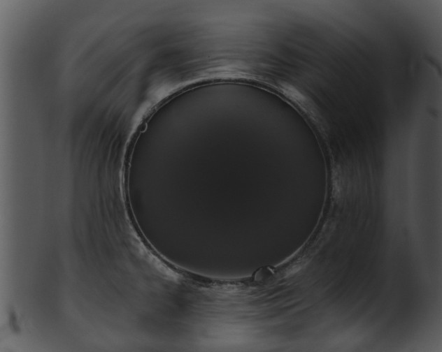 X0000101421334200807141145