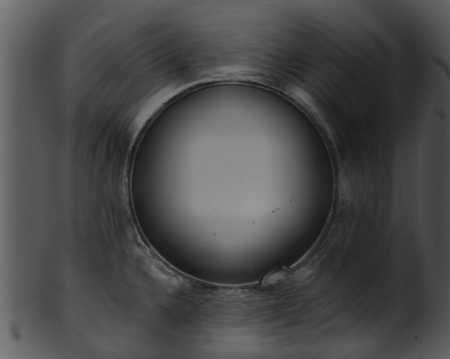 X0000101421336200807141145
