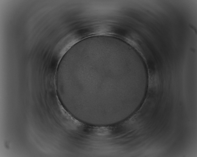 X0000101421338200807141145