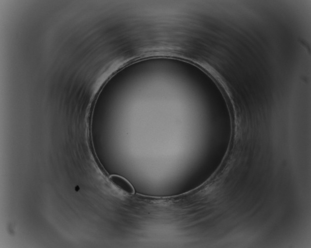 X0000101421341200807141145