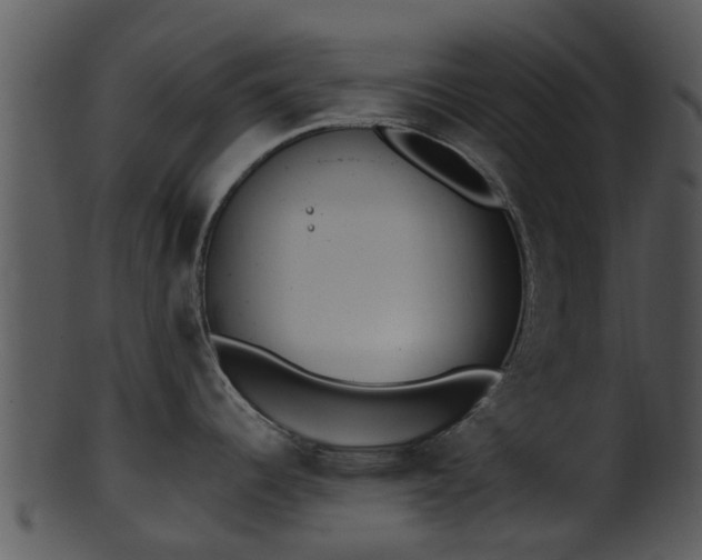 X0000101421344200807141145