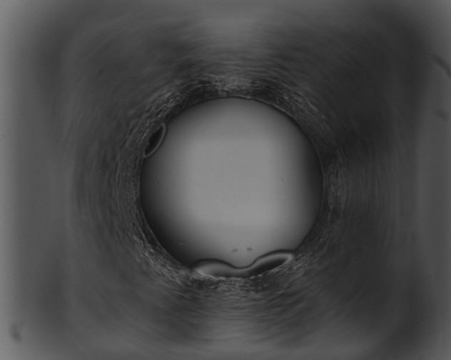 X0000101421345200807141144