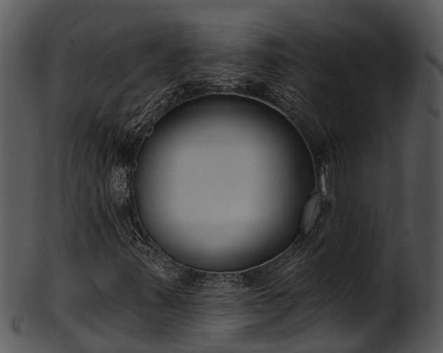 X0000101421347200807141144