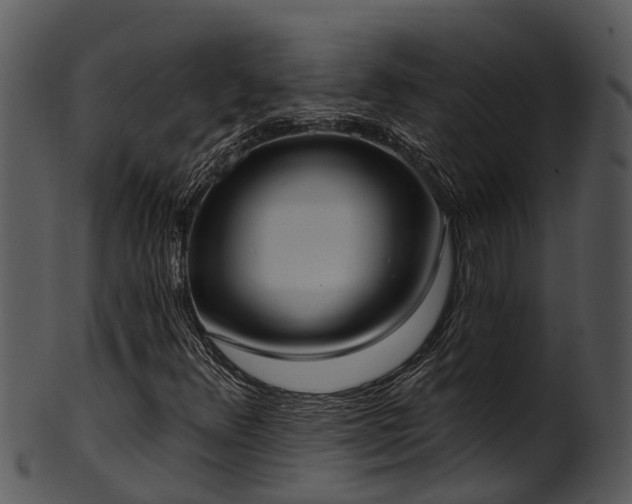 X0000101421348200807141144