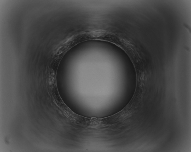 X0000101421349200807141144