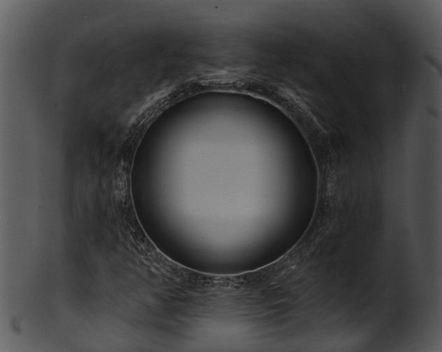 X0000101421350200807141144