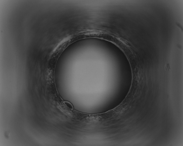 X0000101421351200807141144