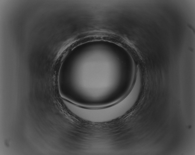 X0000101421352200807141144