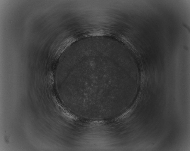 X0000101421353200807141144