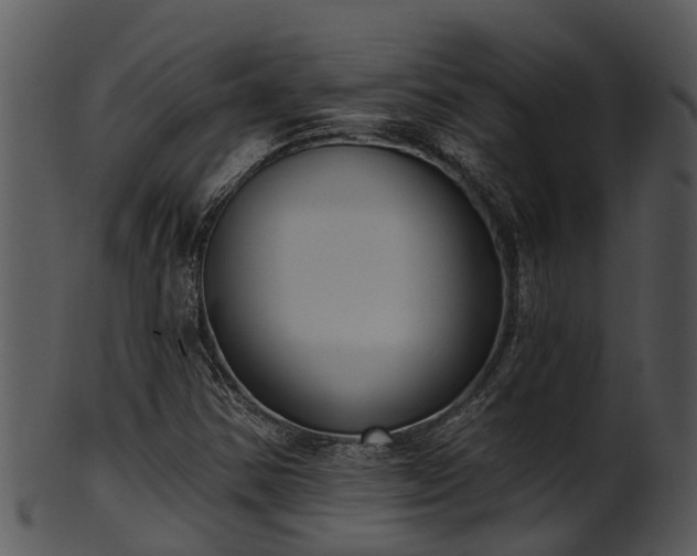 X0000101421354200807141144