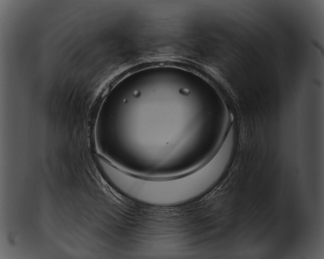 X0000101421356200807141144