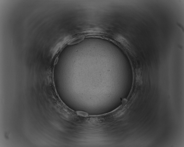 X0000101421357200807141144