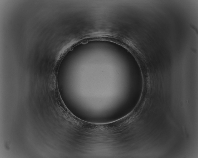 X0000101421358200807141144
