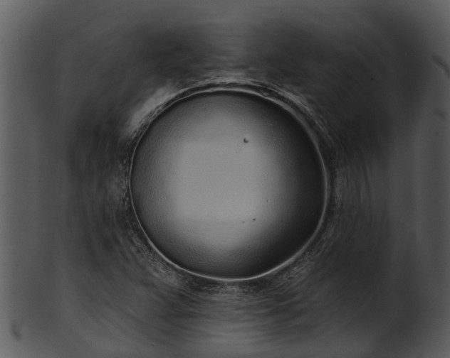 X0000101421359200807141144
