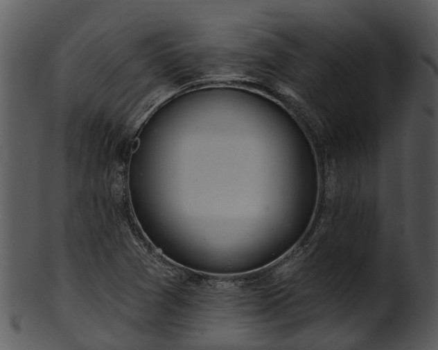 X0000101421361200807141144