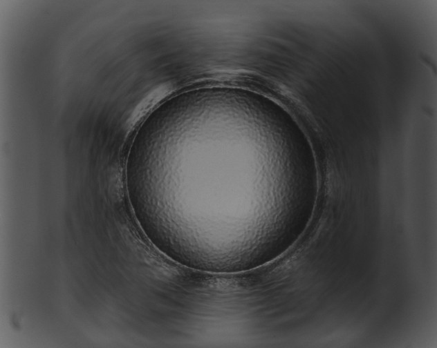 X0000101421362200807141144