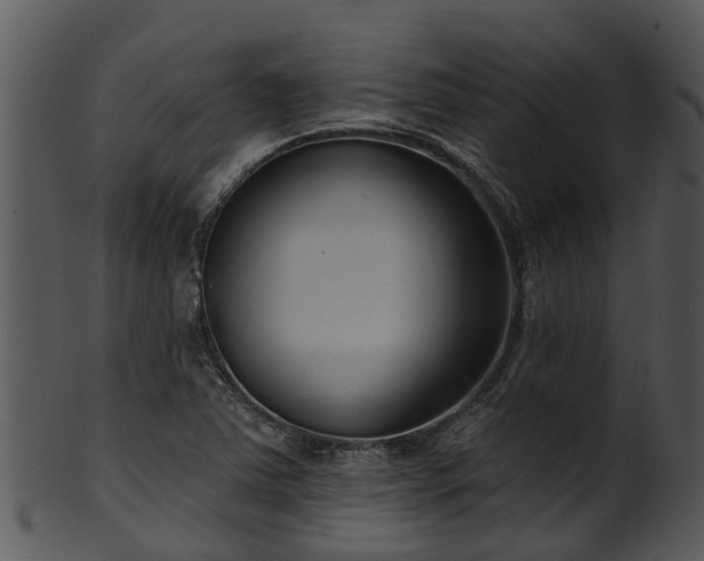 X0000101421363200807141144