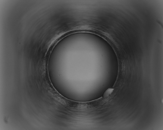 X0000101421364200807141144