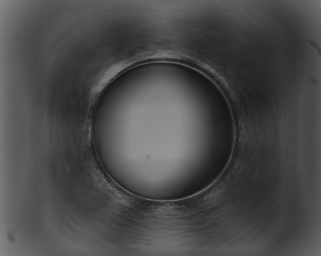 X0000101421367200807141144