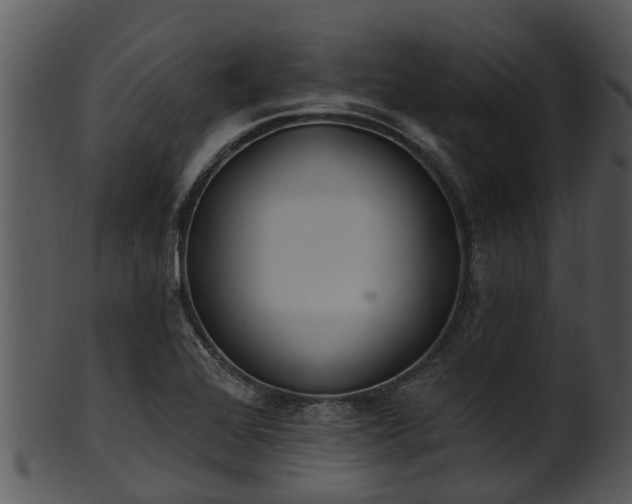 X0000101421368200807141144