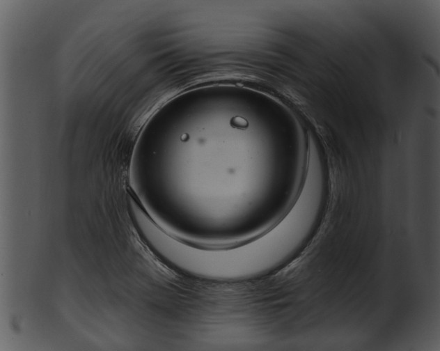 X0000101421369200807141144