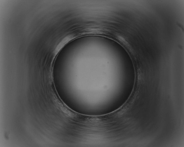 X0000101421370200807141144