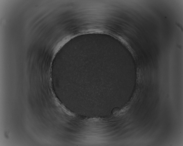 X0000101421373200807141144