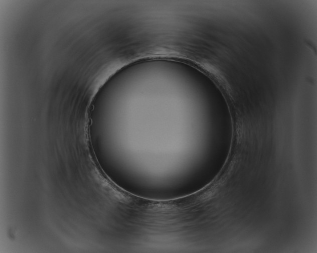 X0000101421374200807141144