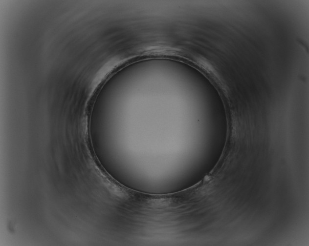 X0000101421376200807141144