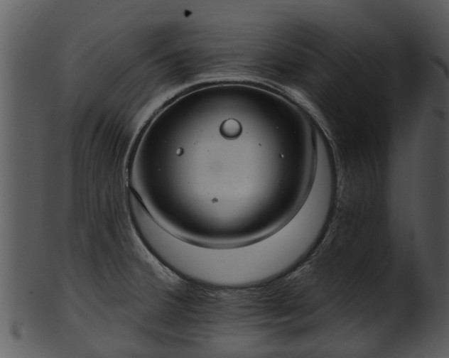 X0000101421380200807141144