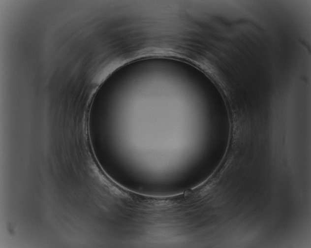 X0000101421382200807141144