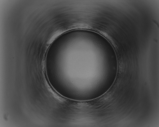 X0000101421383200807141144
