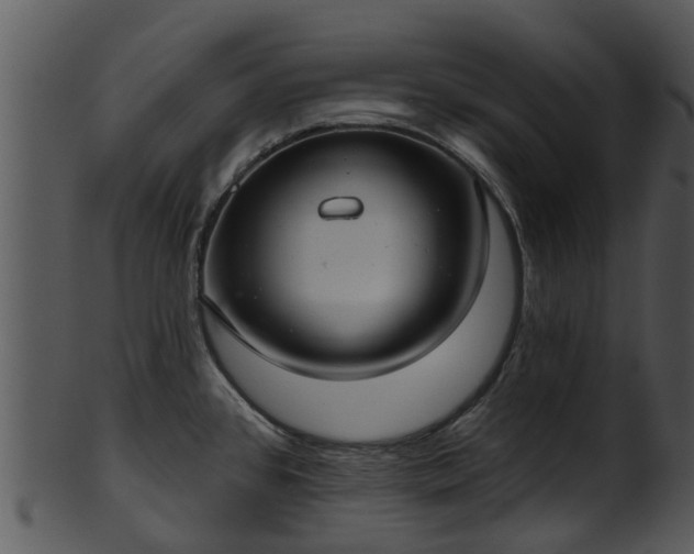 X0000101421384200807141144