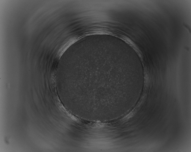X0000101421385200807141144