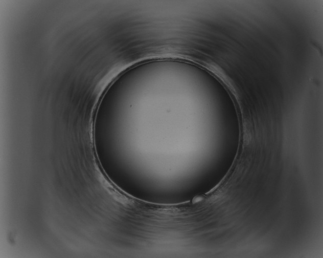 X0000101421388200807141144